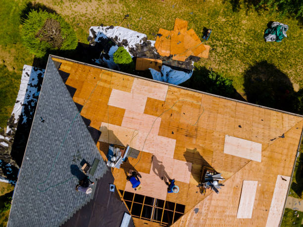 Best Metal Roofing Contractor  in Cole Camp, MO
