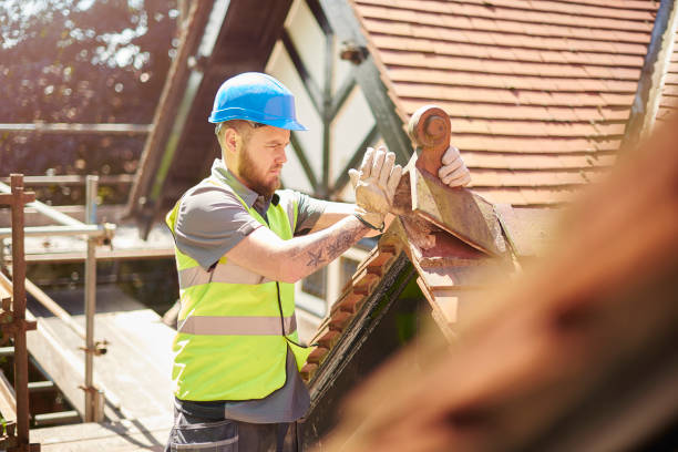 Best Roof Gutter Cleaning  in Cole Camp, MO