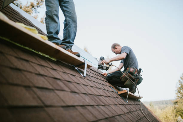 Professional Roofing Contractor in Cole Camp, MO